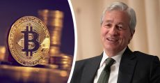 dimon bitcoin