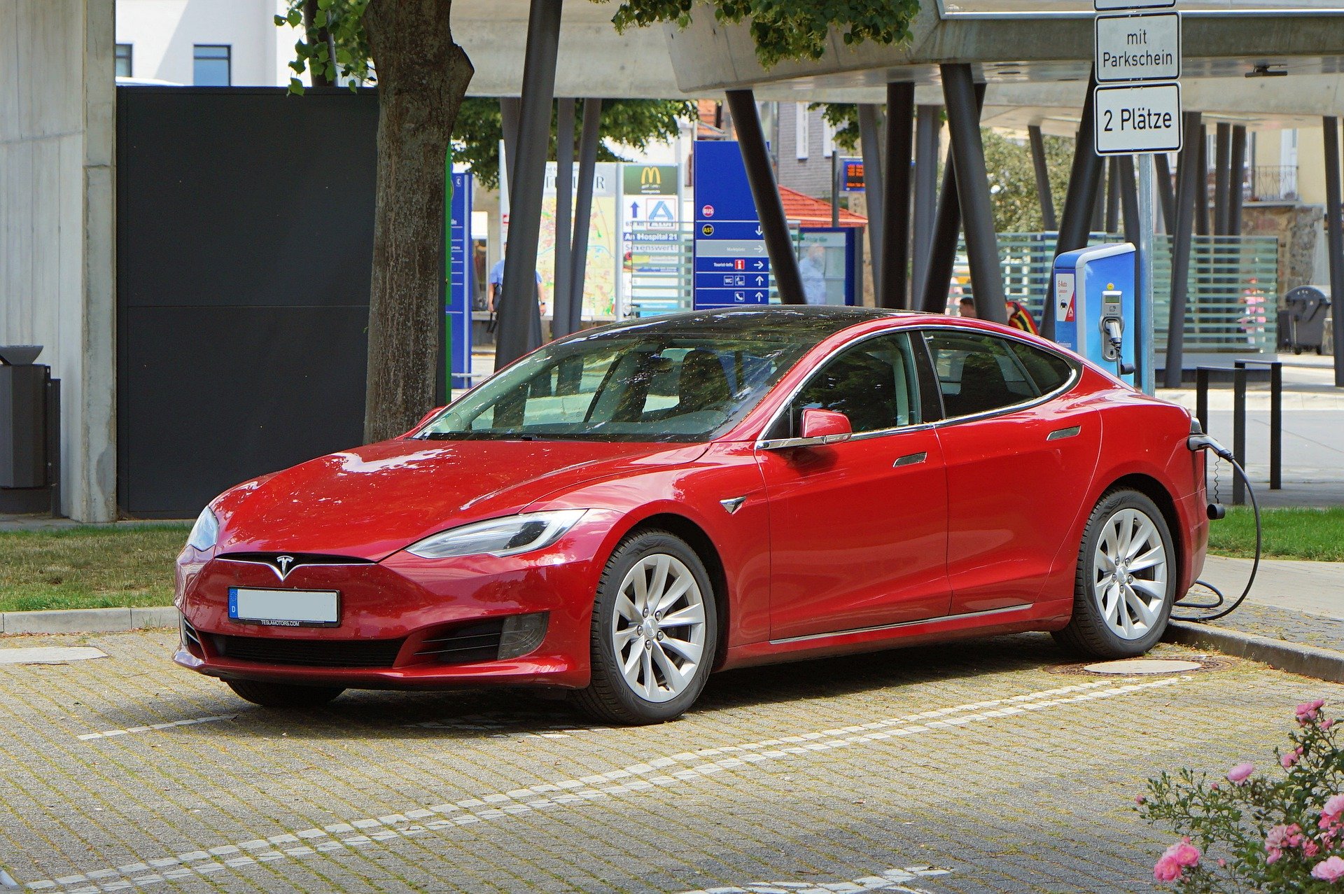 tesla stock
